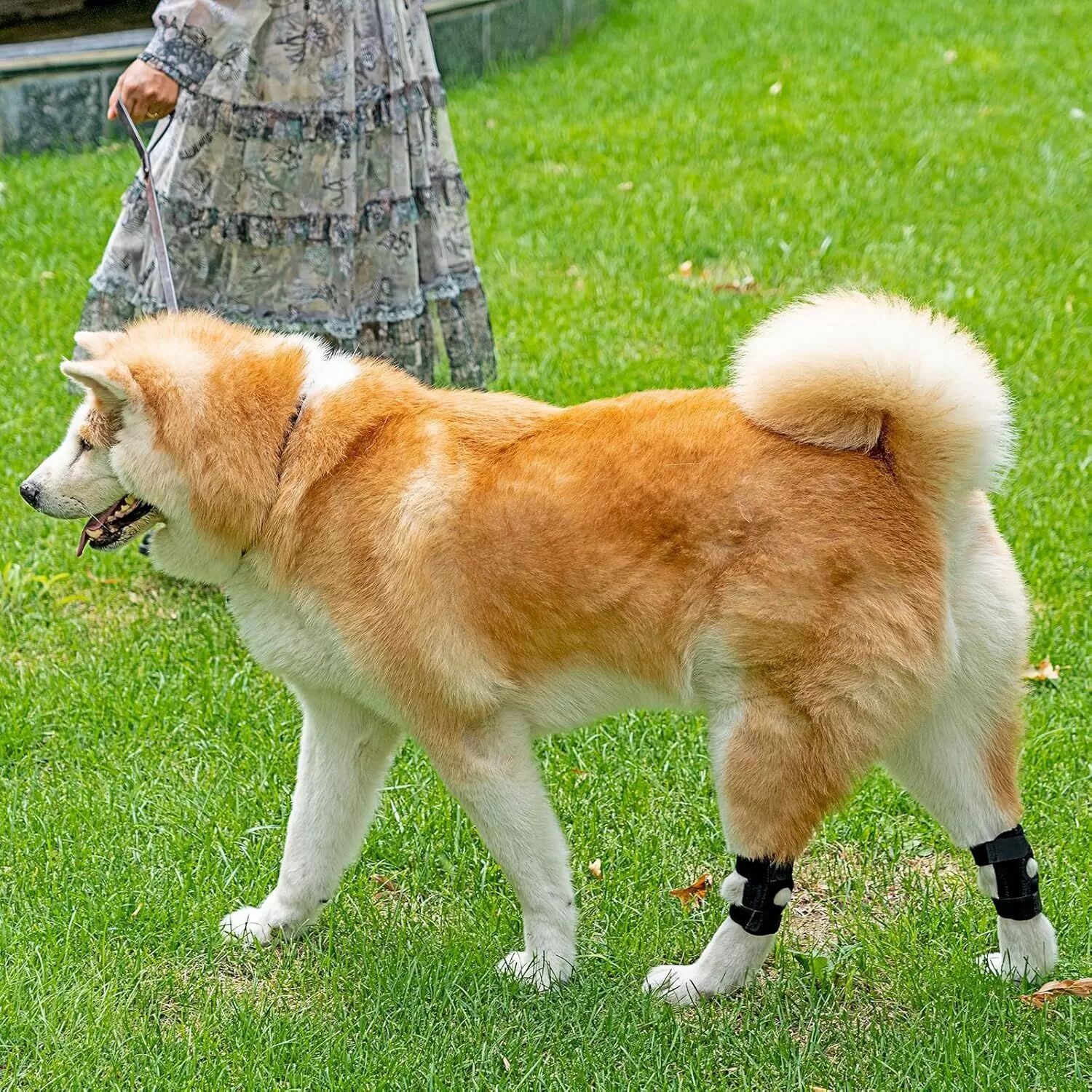 INF Hundeknieorthese zur Unterstützung der Hundebeine L