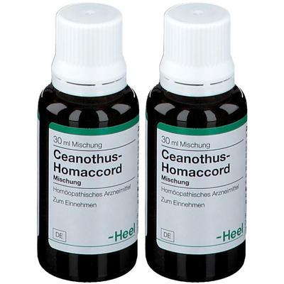 Ceanothus-Homaccord Liquidum 2x 2x30 ml