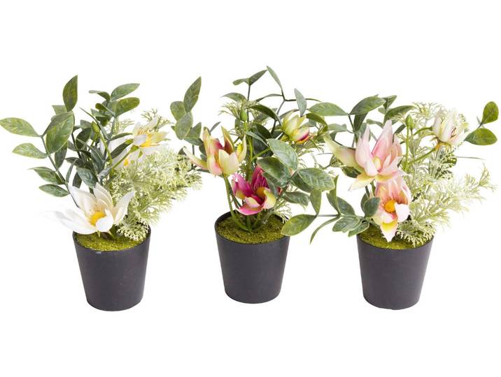 Künstliche Zimmerpflanze BOTANIC-HAUS Christrosen-Arrangement im schwarzen Kunststofftopf , orange, B:13cm H:18cm T:13cm Ø:13cm, Kunststoff, Kunstpflanzen, Künstliche Zimmerpflanze
