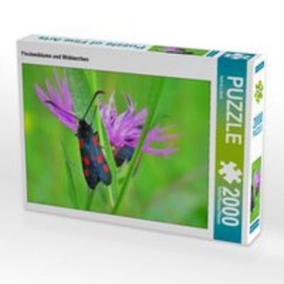 CALVENDO Puzzle Flockenblume und Widderchen | 2000 Teile Lege-Größe 90 × 67 cm Foto-Puzzle für glückliche Stunden
