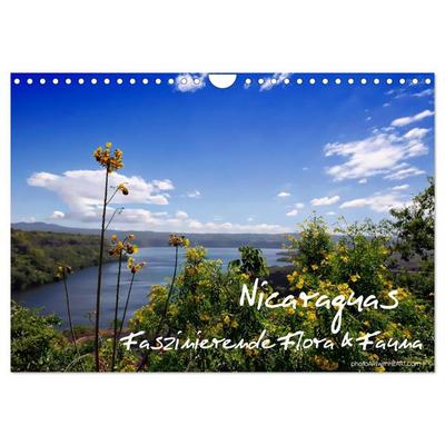 Nicaraguas faszinierende Flora & Fauna (Wandkalender 2026 DIN A4 quer), CALVENDO Monatskalender