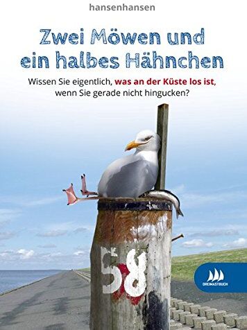 hansenhansen - Zwei Möwen und ein halbes Hähnchen: Wissen Sie eigentlich, was an der Küste los ist, wenn Sie gerade nicht hingucken? - Preis vom 04.10.2026 03:51:26 h