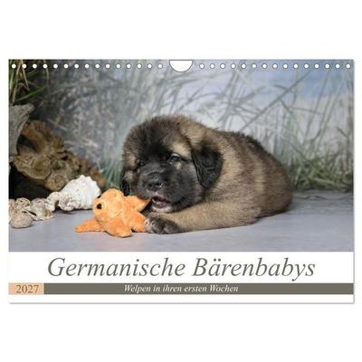 Germanische Bärenbabys (Wandkalender 2027 DIN A4 quer), CALVENDO Monatskalender