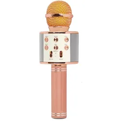 Xtreme Hollywood Rose Gold, Silber Karaoke-Mikrofon