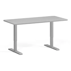 Höhenverstellbarer Schreibtisch, 2 Motoren, 74-121 cm, abgerundete Ecken, Tischplatte 160x80 cm, graues Metallgestell, grau