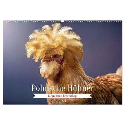 Polnische Hühner (Wandkalender 2027 DIN A2 quer), CALVENDO Monatskalender