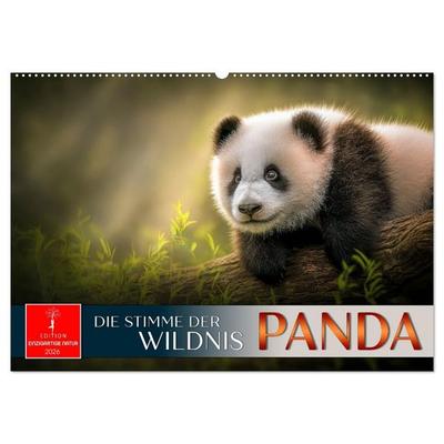Panda - die Stimme der Wildnis (Wandkalender 2026 DIN A2 quer), CALVENDO Monatskalender