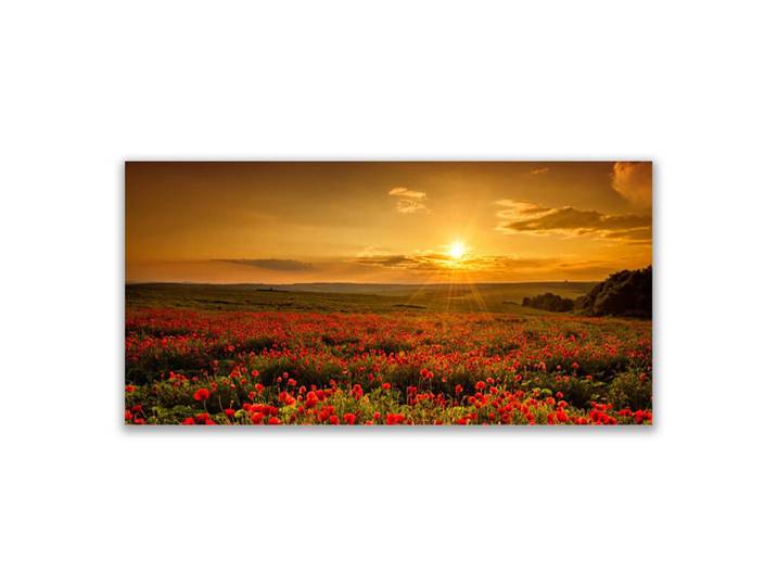 Tulup Leinwandbild 100x50 cm Mohnfeld, Orange, 100x4 cm, Bilder & Rahmen, Bilder, Leinwandbilder