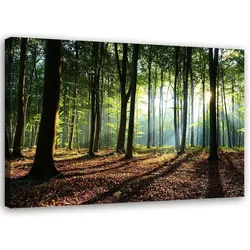 LEINWANDBILD Wald bei Sonnenaufgang 60x40cm