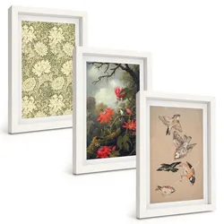 BILDER SET 3er Set - 20x30 cm Weißer Rahmen - Blumen, Vögel, Natur