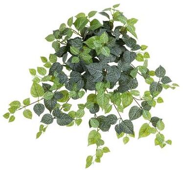 Nearly Natural 24-in UV Resistant Artificial Fittonia Hanging Plant - Set of 3