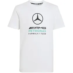 adidas Mercedes-AMG Petronas Formel 1 Team Dna Graphic T-Shirt Ki