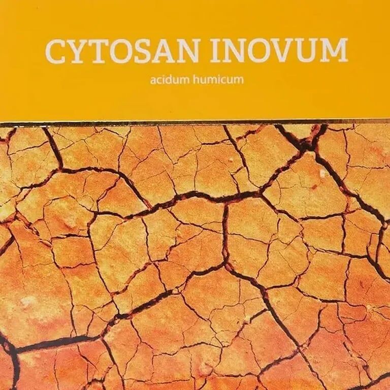 Energy Cytosan Inovum 90 Caps