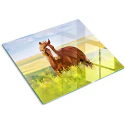 GLASPLATTE 60x52 cm Braunes Pferd
