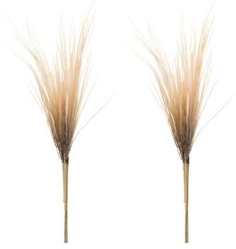 Melrose International Grass Plume Bundle (Set of 2)