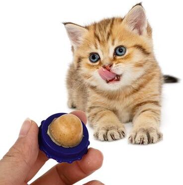 Happy Pet Pantry PurrFresh Catnip Hairball Relief Lick Ball Treat For Digestion, Hydration & Play PurrFresh Catnip Hairball Relief Lick Ball Treat For Digestion, Hydration & Play
