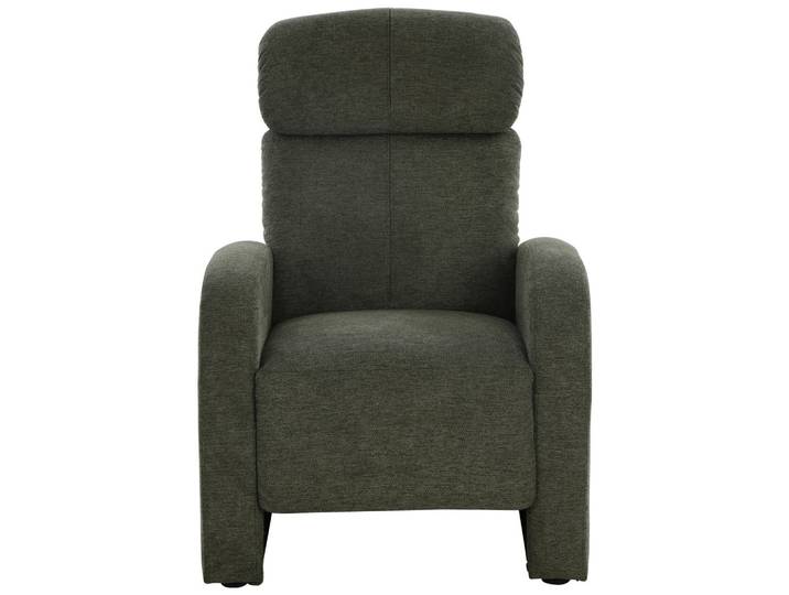 Relaxsessel Holz, Metall, Textil Grün