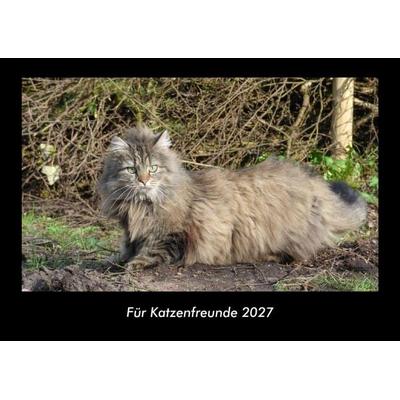 Für Katzenfreunde 2027 Fotokalender DIN A3