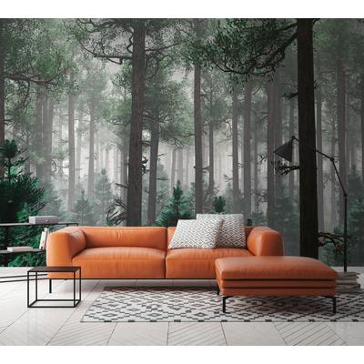 Vliestapete A.S. CRÉATION "Fototapete Nadelwald mit Nebel Grün Grau", grau, B:2,55m H:0,02m L:3,5m, Vlies, Tapeten