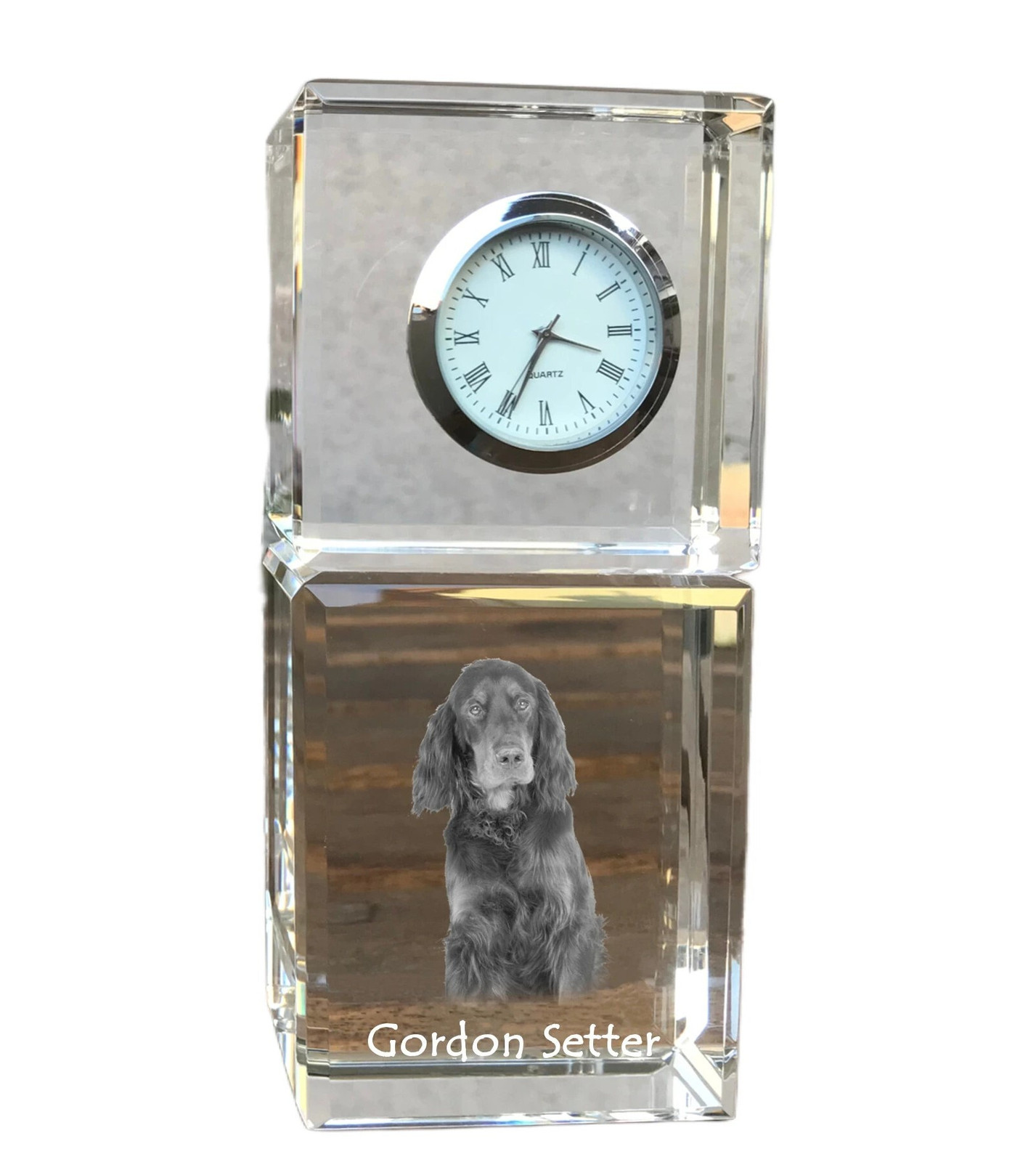 Art-Dog Klok Gordon setter voor volwassenen