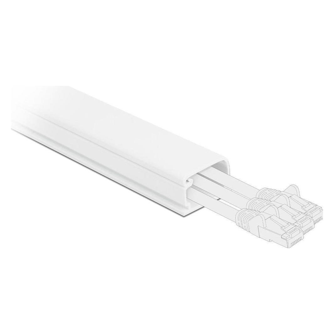 Delock Kabelkanal (Kabelkanal, 100 cm) (20720)