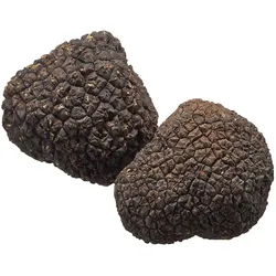 GEFU Tartufolo, Küchenreibe, Schwarz, Silber