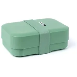 Amuse Lunchbox M, Lunchbox, Grün