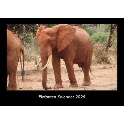 Elefanten Kalender 2026 Fotokalender DIN A3