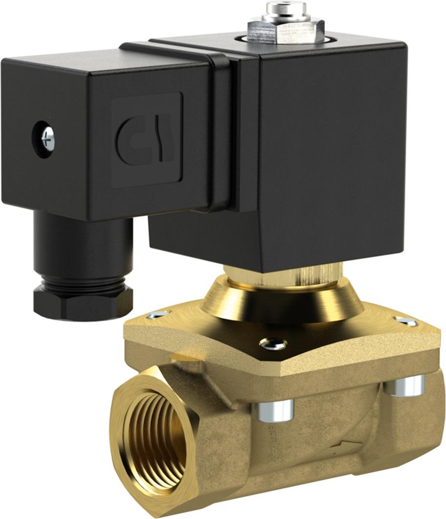Riegler 2/2 MV, NC, MS, G38, DN13, PN 0-12, NBR, zwangsg., 24V DC