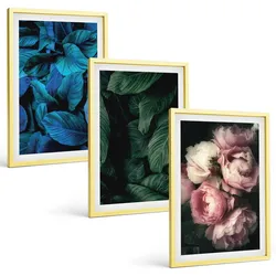 BILDER SET 3er Set - 40x60 cm Goldrahmen - Blätter, Blüten, verschiedene Farben