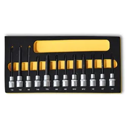 BAMATO Torx, Vielzahn, Sechskant Nusssatz 1/2" in Schaumeinlage 12-teilig