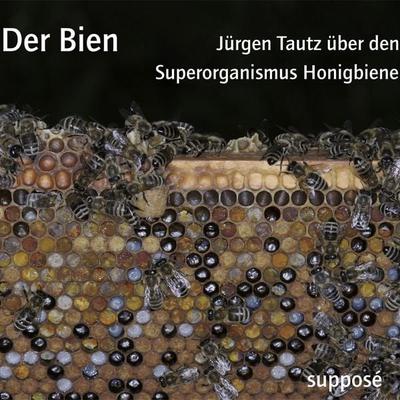 Der Bien - Klaus Sander,Jürgen Tautz, Audio, 9783863850395