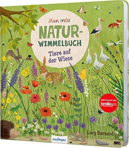 Katharina Lotz - Mein erstes Natur-Wimmelbuch: Tiere auf der Wiese: Mit Suchaufgaben & kurzer Geschichte - Preis vom 15.10.2026 23:06:25 h
