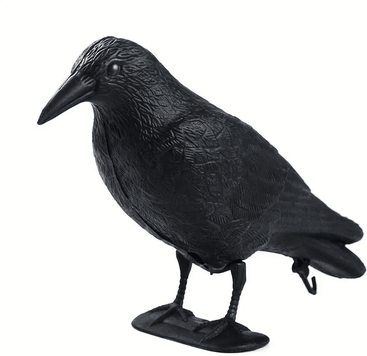Inspire Essentials RealGuard Black Crow Decoy Realistic Bird Repellent For Garden, Yard, And Outdoor Pest Control RealGuard Black Crow Decoy Realistic Bird Repellent For Garden, Yard, And Outdoor Pest Control