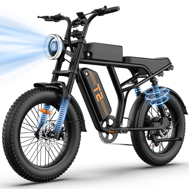 T2 Retro 20-Zoll All-Terrain-E-Fahrrad für Erwachsene, 250W, 48V 15,6Ah abnehmbarer Akku, 25 km/h, 120 kg maximale Traglast