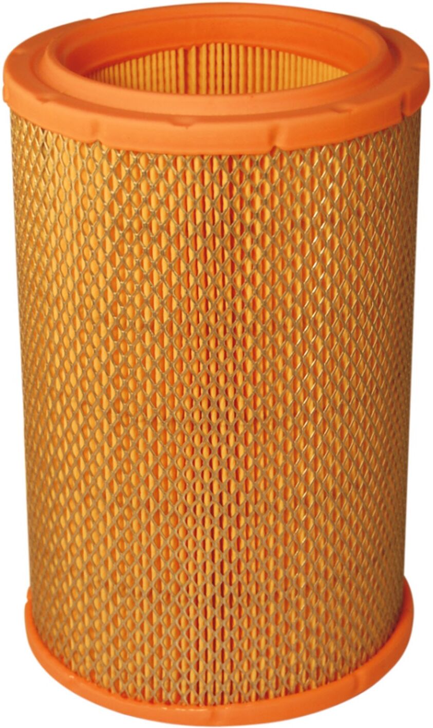 FILTRON AR 257/3 Air filter