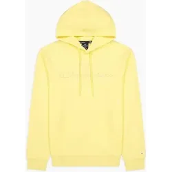 CHAMPION Herren Kapuzenpullover, Größe S in Gelb Gelb