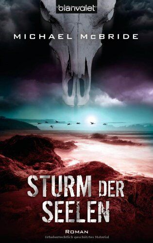 Michael Mcbride - Sturm der Seelen: Roman - Preis vom 17.10.2026 19:25:27 h