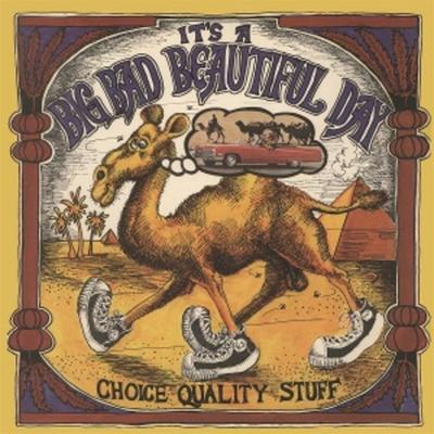 Choice Quality Stuff (Orange/Black Sunburst Vinyl) - Its a. Beautiful Day, Vinyl