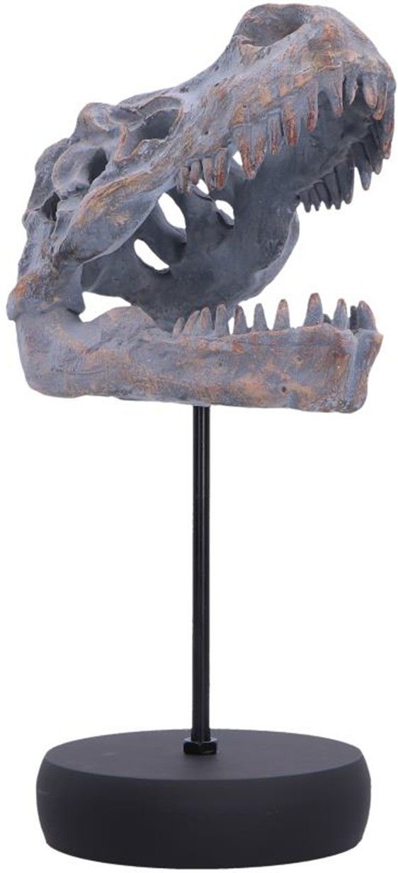 Nemesis Now: Tyrannosaurus Rex Skull on Plinth (D7553B26)