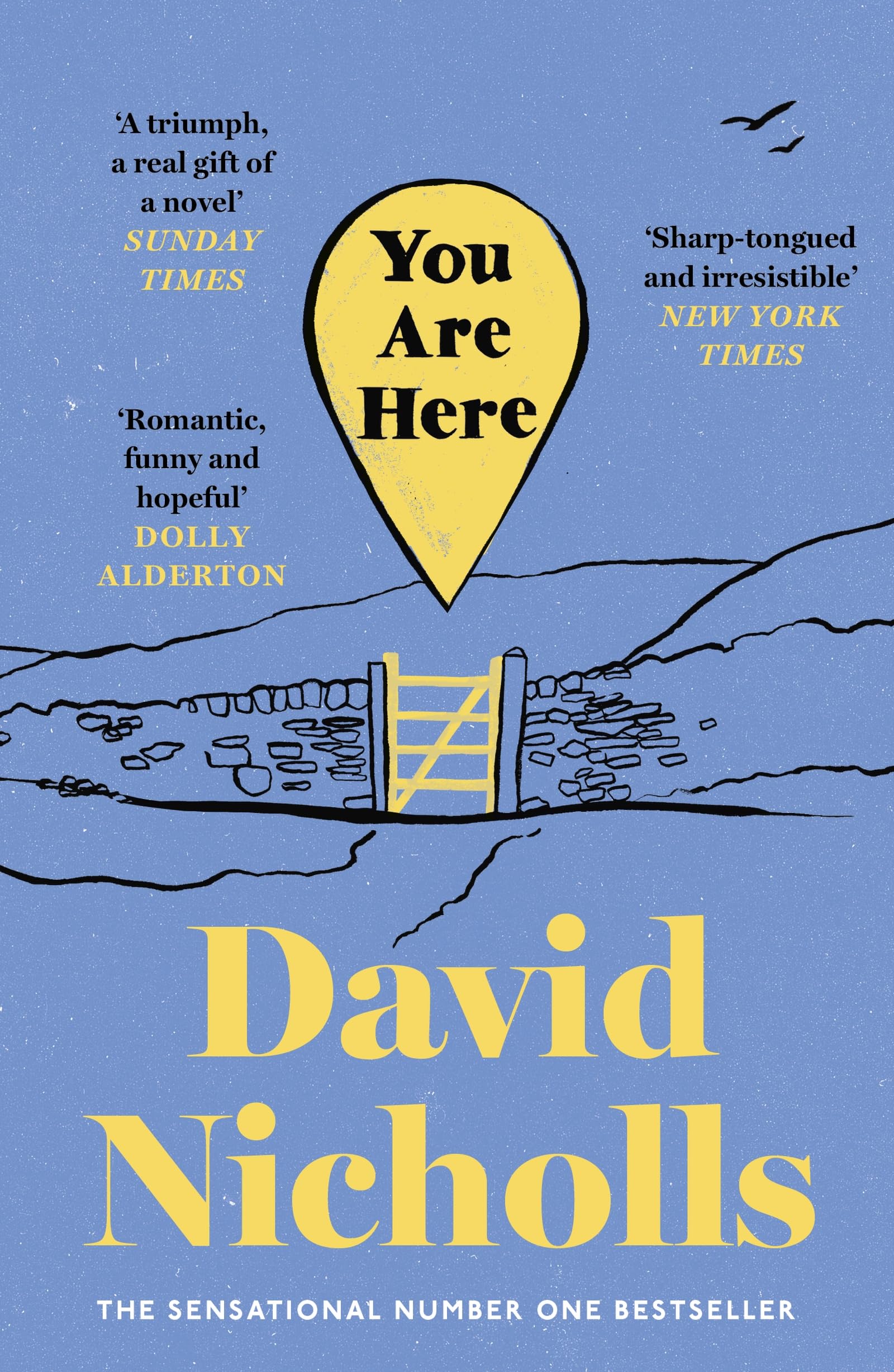 David Nicholls - You Are Here: The Instant Number 1 Sunday Times Bestseller, from the author of One Day - Preis vom 14.10.2026 23:07:16 h