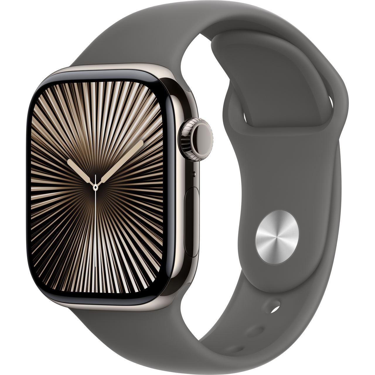 Apple Watch S10 Titan Natur Cellular 42mm (Sportarmband steingrau) M/L