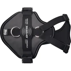 Julius-K9 K9 Longwalk light sele w/trackerpocket,Anthrazit,XS (XS, Hund, Spazieren), Halsband + Leine