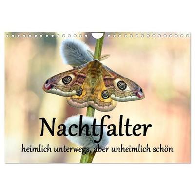 Nachtfalter - heimlich unterwegs, aber unheimlich schön (Wandkalender 2026 DIN A4 quer), CALVENDO Monatskalender
