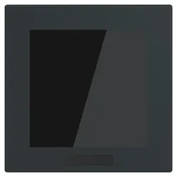 Busch-Jaeger Display 2,4" Format 63 - SD/U12.63.11-825