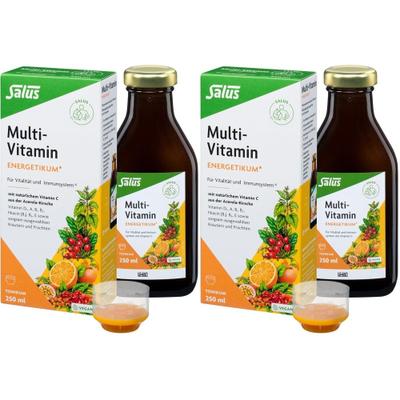 Multi-Vitamin Energetikum Salus 2x 2x250 ml Tonikum