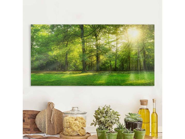 Impressions sur toile Promenade en forêt Polyester Vert 100 x 50cm