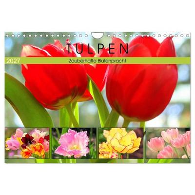 Tulpen. Zauberhafte Blütenpracht (Wandkalender 2027 DIN A4 quer), CALVENDO Monatskalender