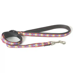 Image Bowxy (Hund, Spazieren), Halsband + Leine