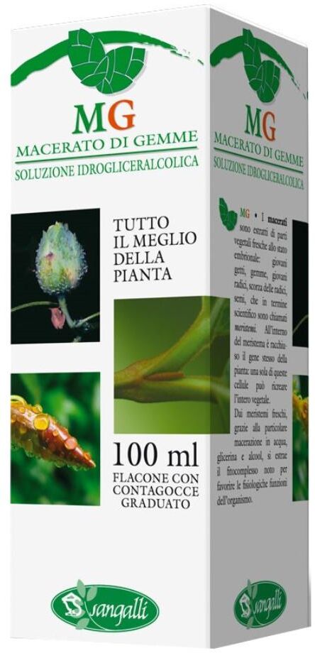 SANGALLI Srl RIBES 100ML MG